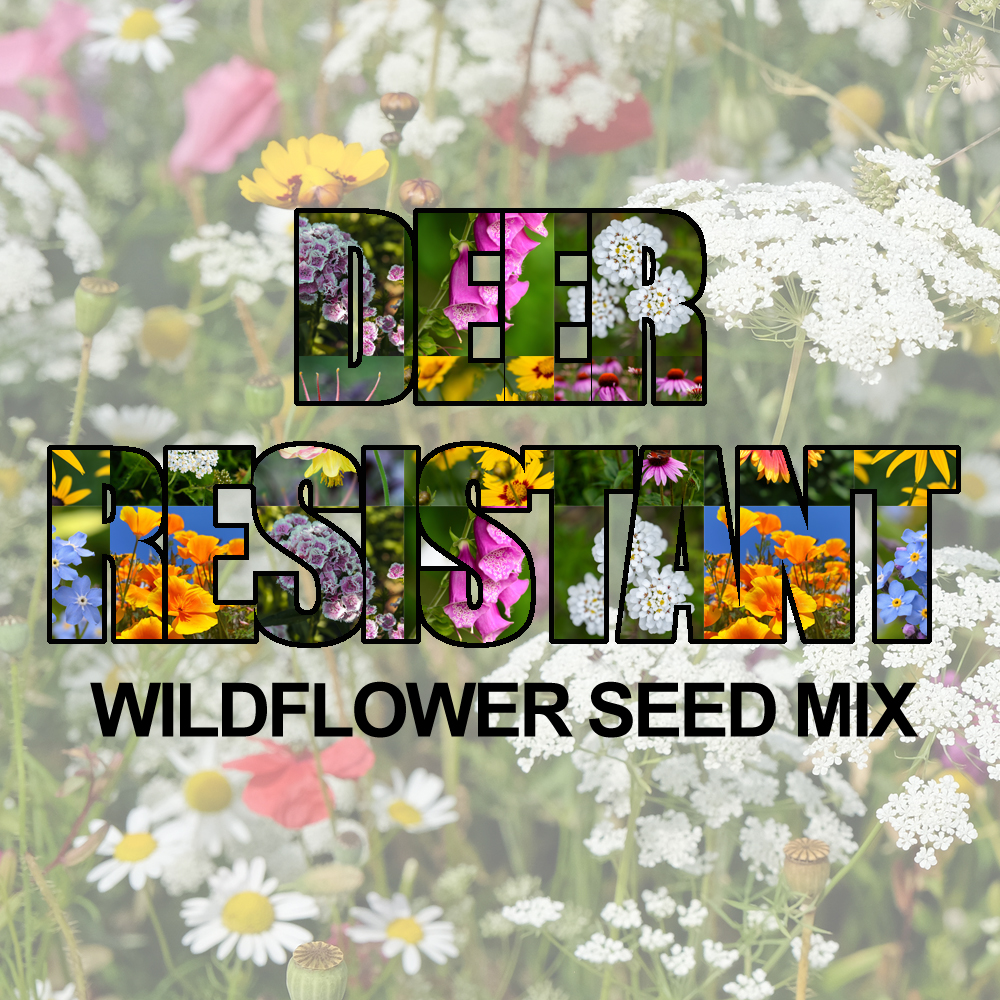 Deer Resistant Wildflower Seed Mix