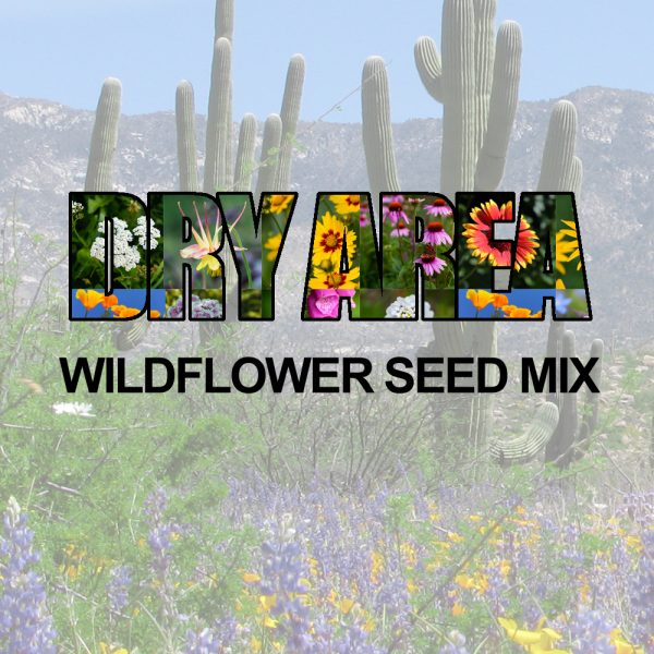 Dry Area Wildflower Seed Mix