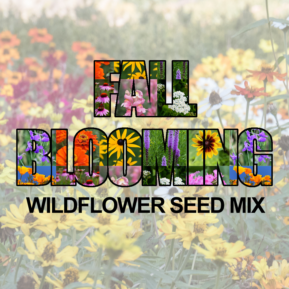 Fall Blooming Wildflower Seed Mix