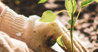 3 Questions to Help Uncover Your Gardening Why