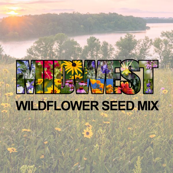 Midwest Wildflower Seed Mix