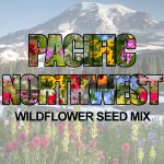 Pacific Northwest Wildflower Seed Mix (1.5-2.5 Sq Ft)