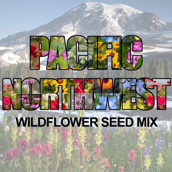 Pacific Northwest Wildflower Seed Mix