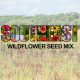 Southeast Wildflower Seed Mix (1.5-2.5 Sq Ft)