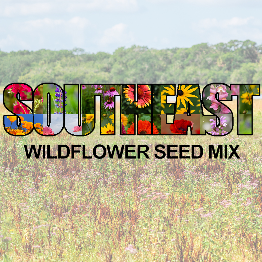 Southeast Wildflower Seed Mix