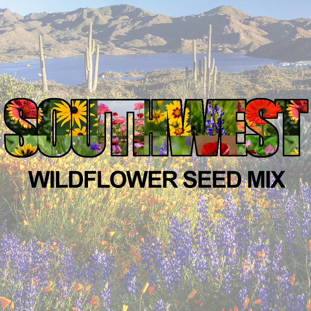 Southwest Wildflower Seed Mix