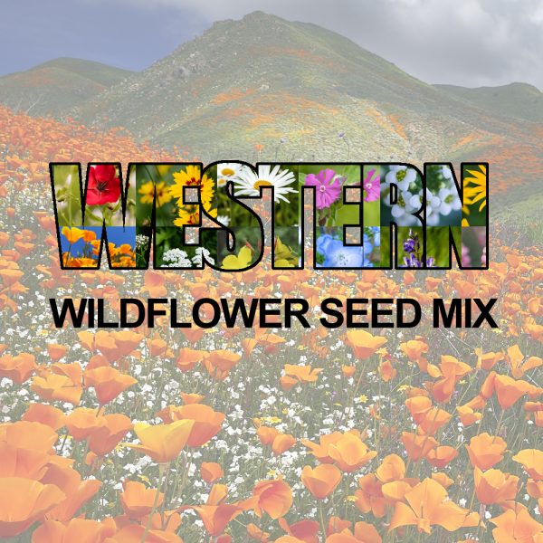 Western Wildflower Seed Mix