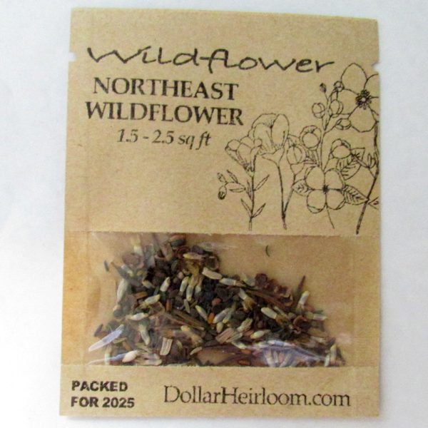 Northeast Wildflower Seed Mix (1.5-2.5 Sq Ft)