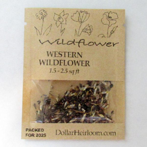 Western Wildflower Seed Mix (1.5-2.5 Sq Ft)