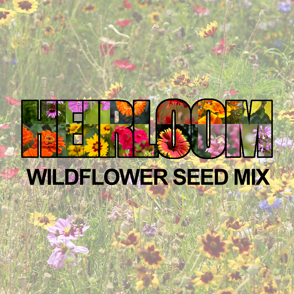 Heirloom Flower Seed Mix