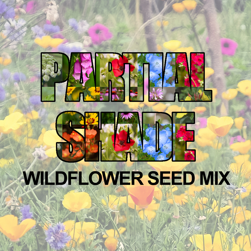 Partial Shade Wildflower Seed Mix