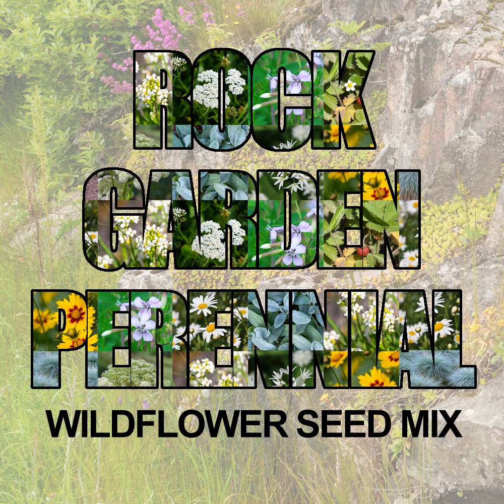 Rock Garden Perennial Wildflower Seed Mix