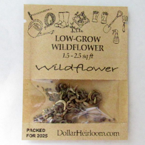 Low-Grow Wildflower Seed Mix (1.5-2.5 Sq Ft)
