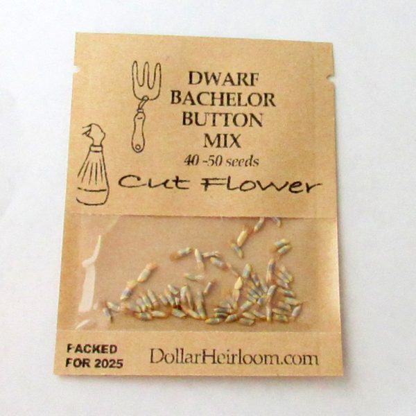 Bachelor Button - Dwarf Mix (40-50 Seeds)