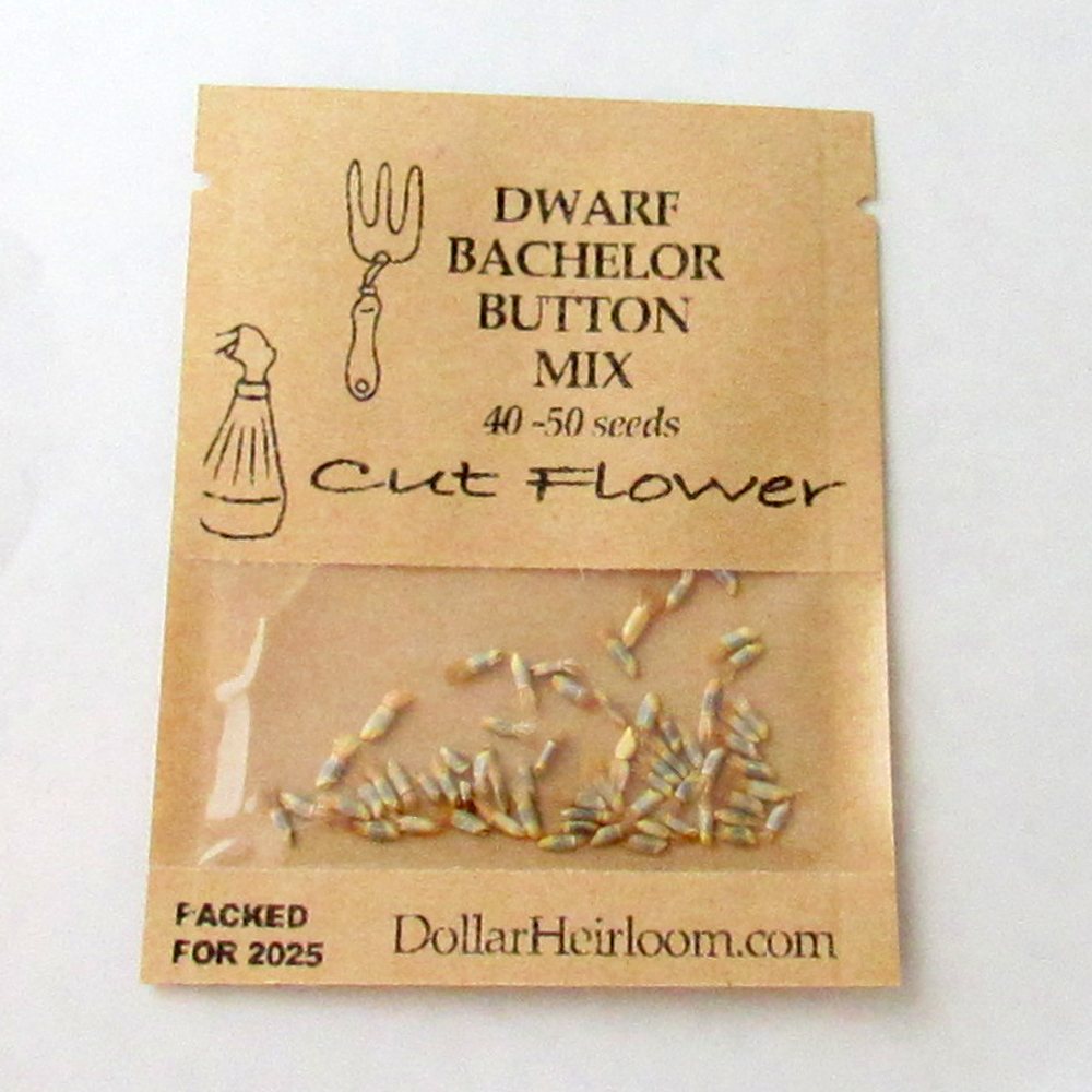 Bachelor Button – Dwarf Mix (40-50 Seeds)