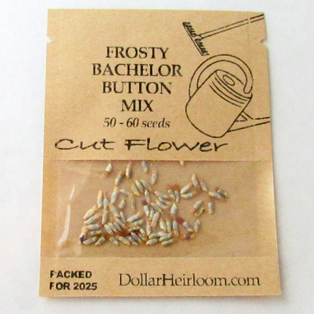 Bachelor Button – Frosty Mix (50-60 Seeds)