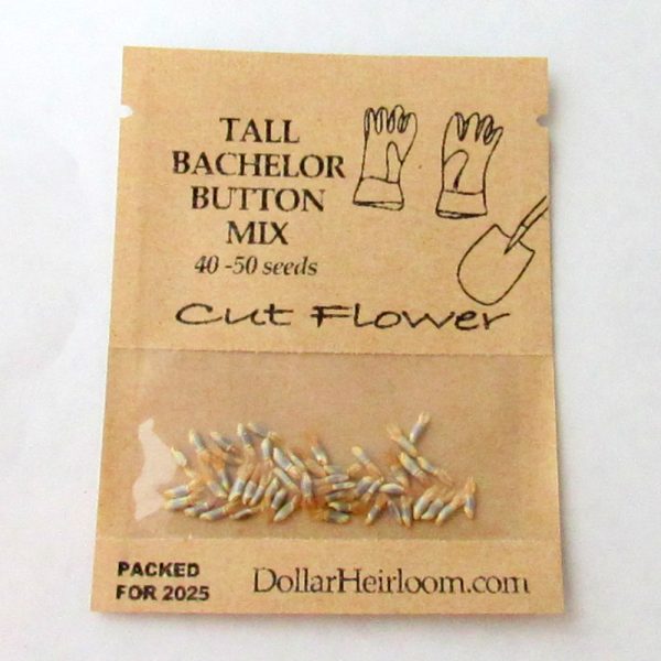 Bachelor Button - Tall Mix (40-50 Seeds)