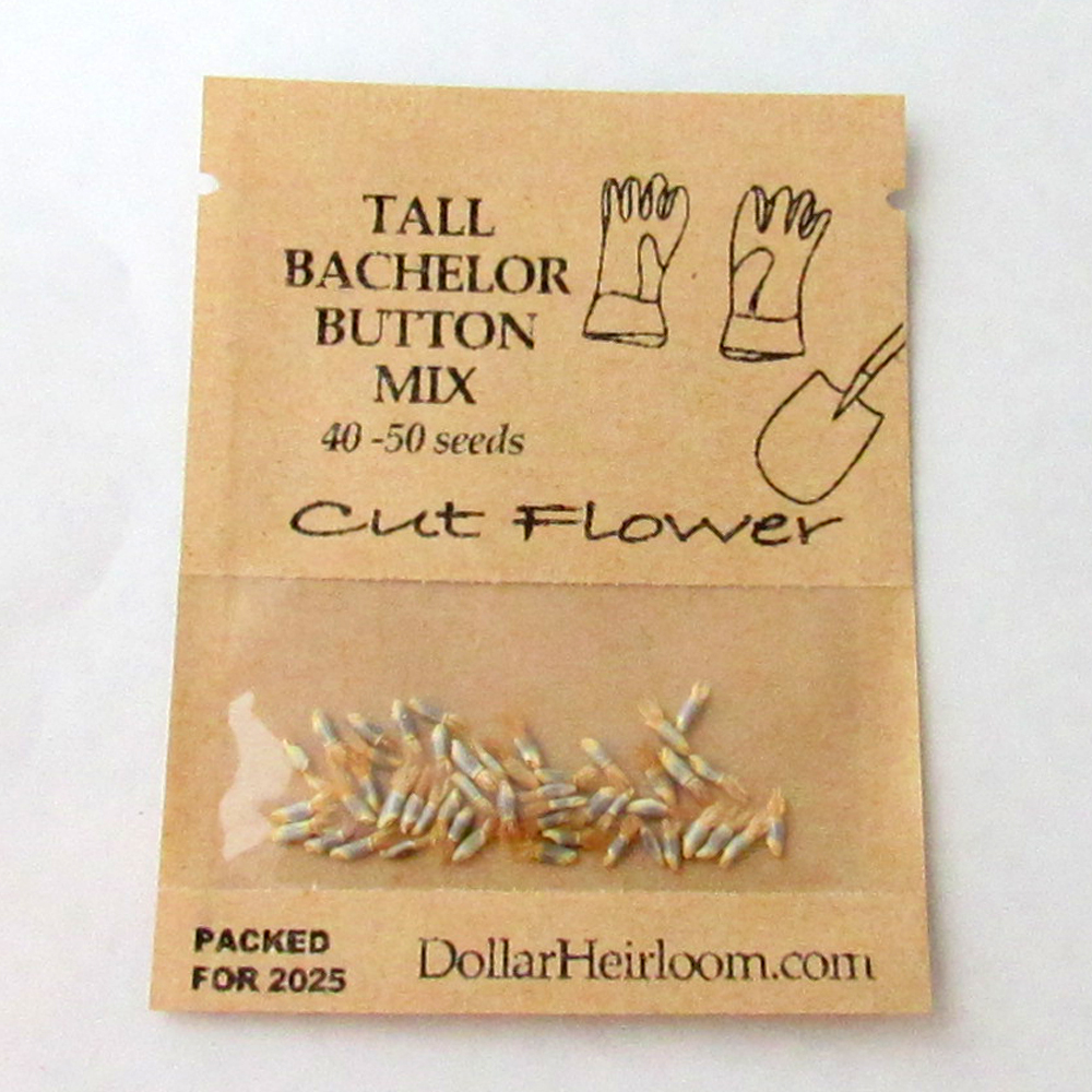 Bachelor Button – Tall Mix (40-50 Seeds)