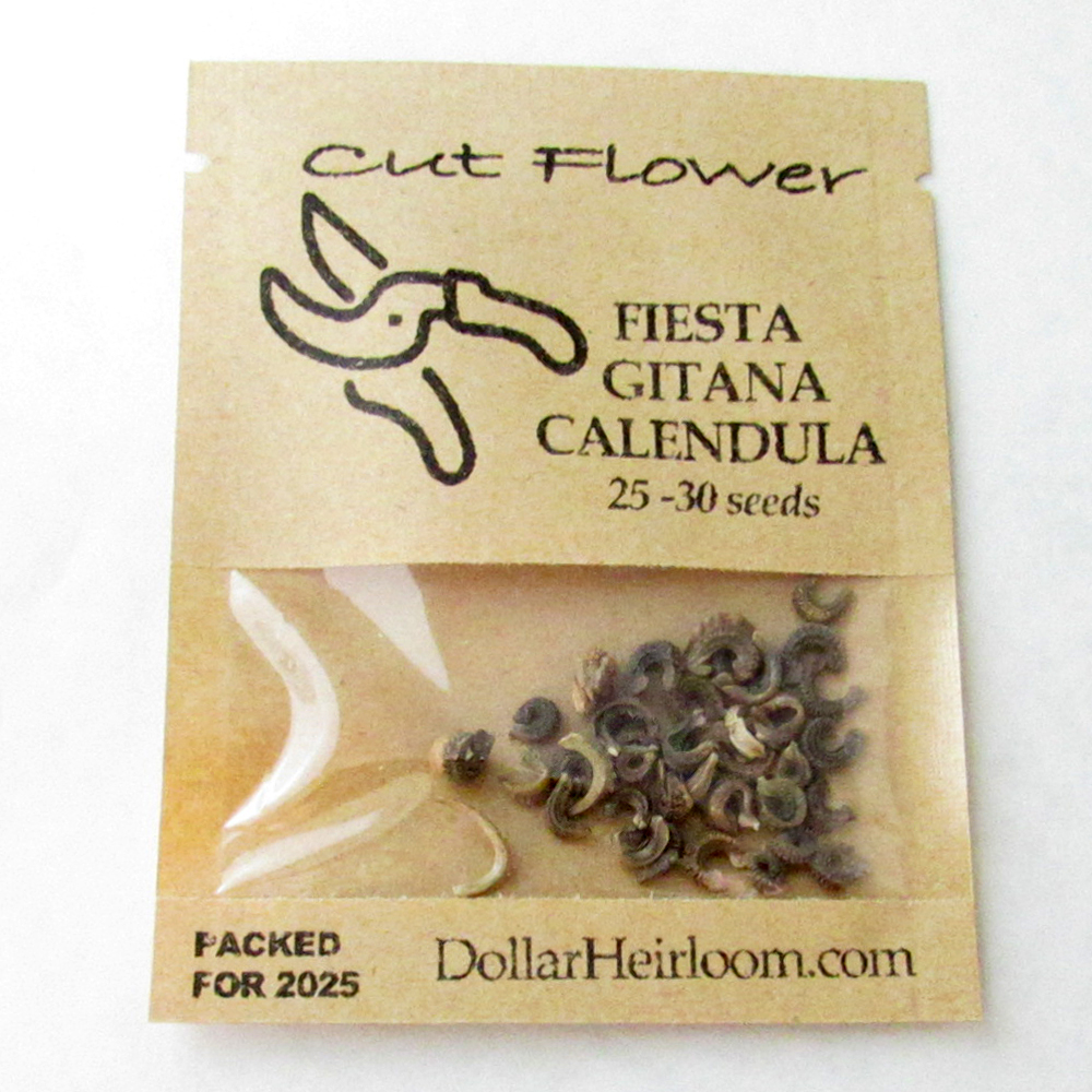 Calendula – Fiesta Gitana (25-30 Seeds)