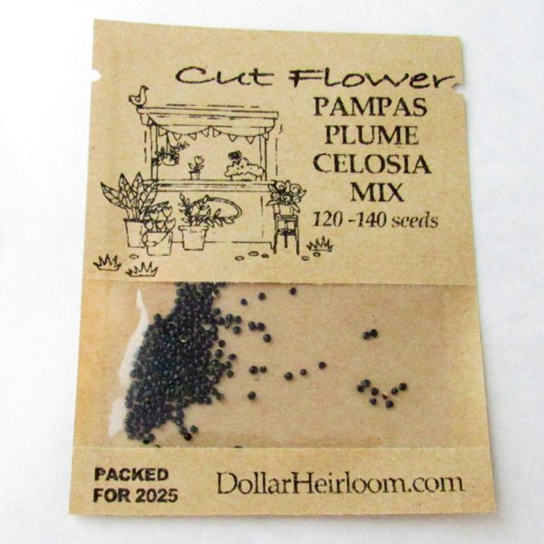 Celosia - Pampas Plume Mix (120-140 Seeds)