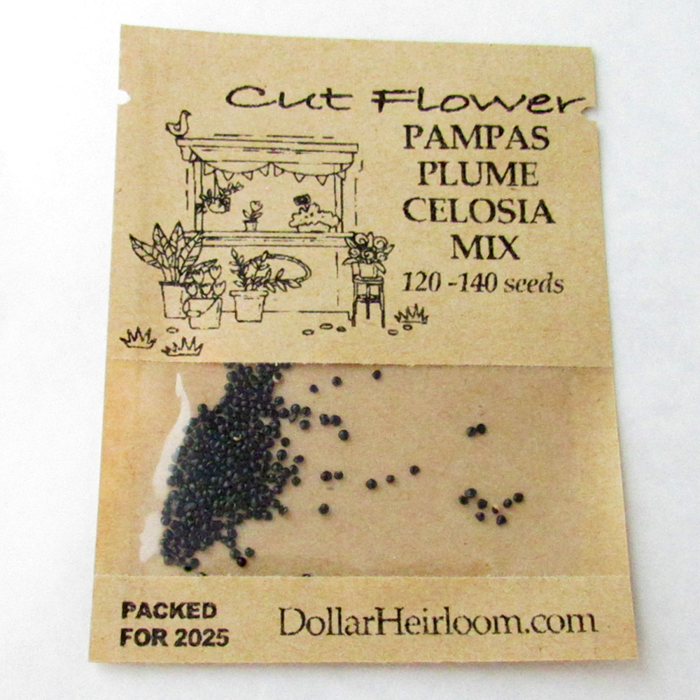 Celosia – Pampas Plume Mix (120-140 Seeds)