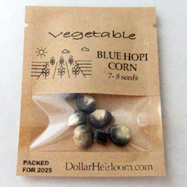 Corn - Flint - Hopi Blue (7-8 Seeds)