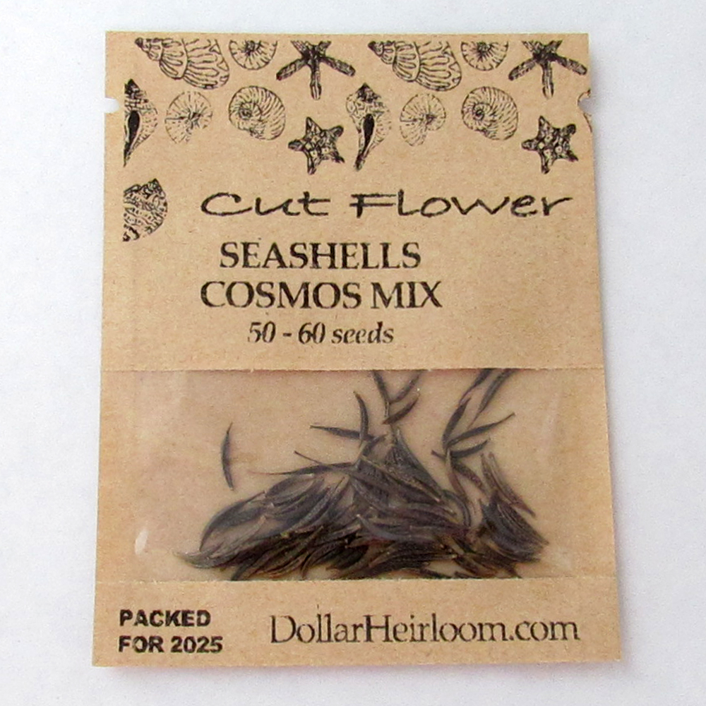 Cosmos – Seashells Mix (50-60 Seeds)