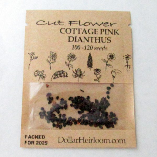 Dianthus - Cottage Pink (100-120 Seeds)