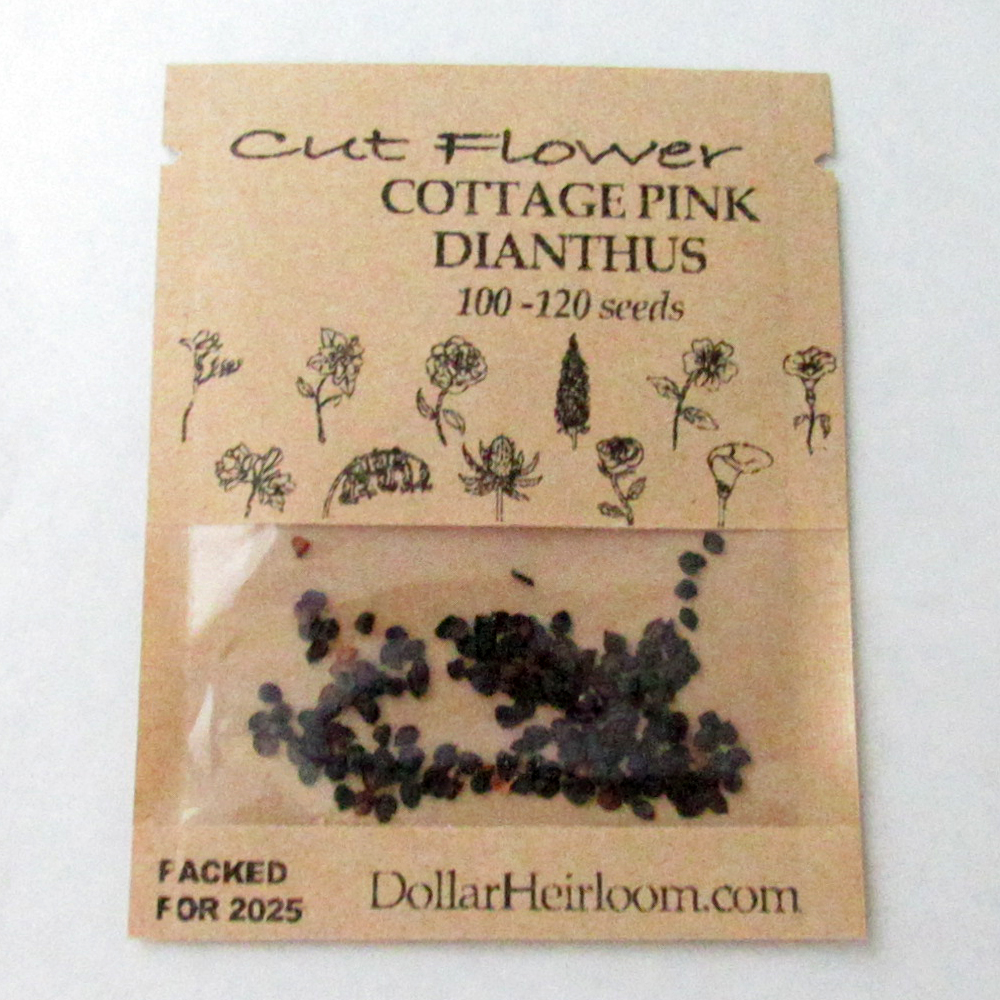 Dianthus – Cottage Pink (100-120 Seeds)