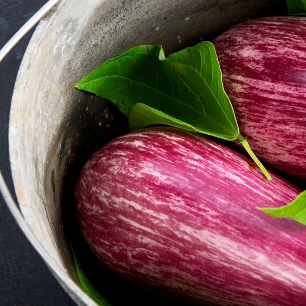 Eggplant - Pandora Striped Rose (20-30 Seeds)