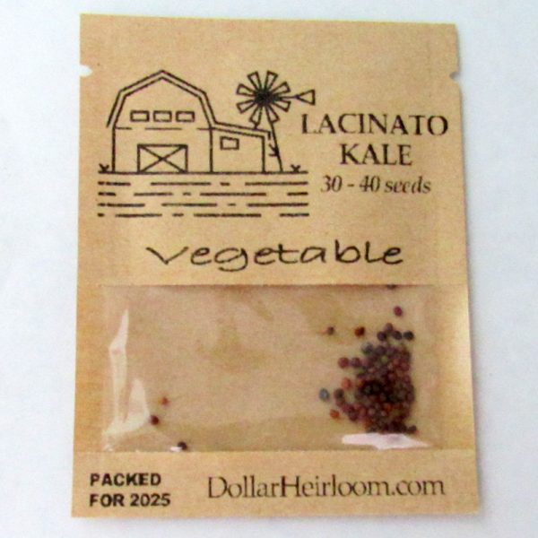 Kale - Lacinato (30-40 Seeds)