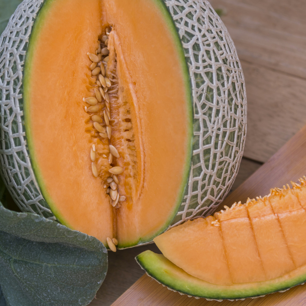 Melon – Cantaloupe – Hales Best Jumbo (8-10 Seeds)