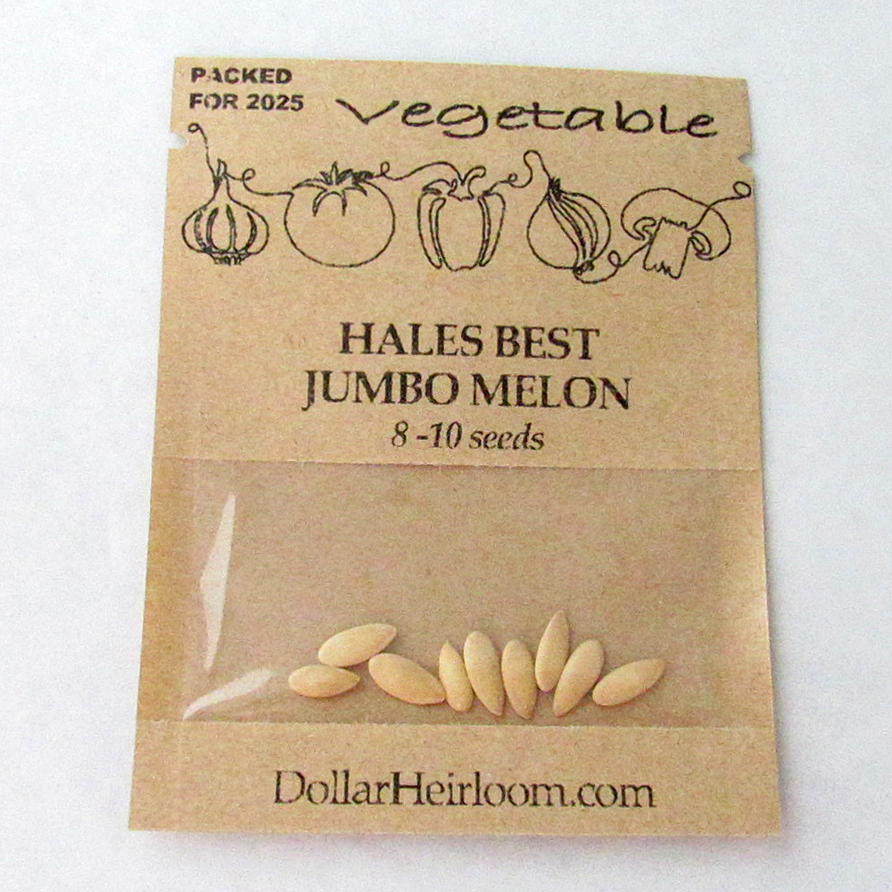 Melon – Cantaloupe – Hales Best Jumbo (8-10 Seeds)