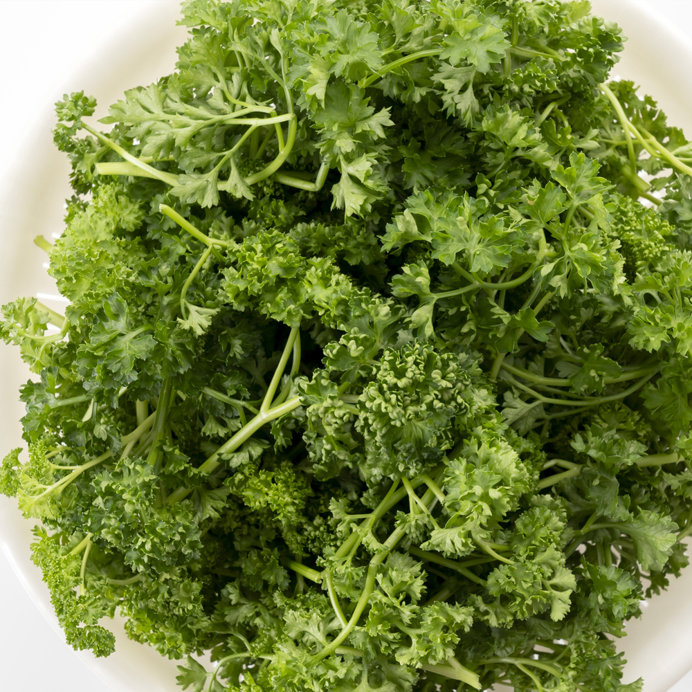 Parsley – Double Curled (100-120 Seeds)