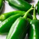 Pepper - Jalapeno M Hot (14-16 Seeds)