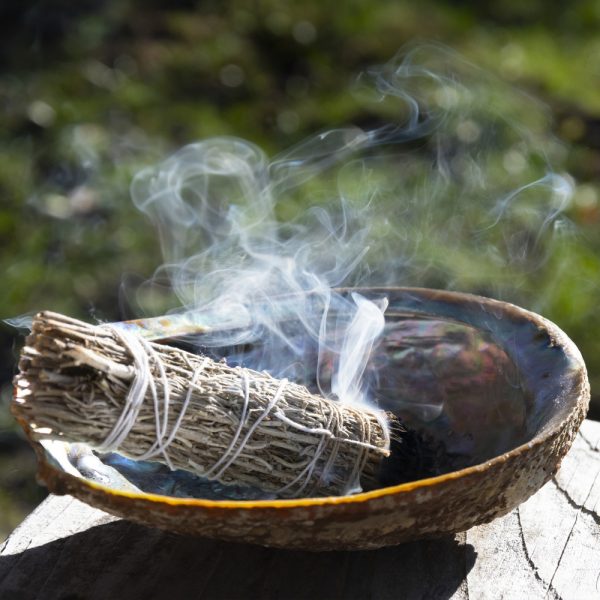 Sage - Broad Leaf (15-20 Seeds)