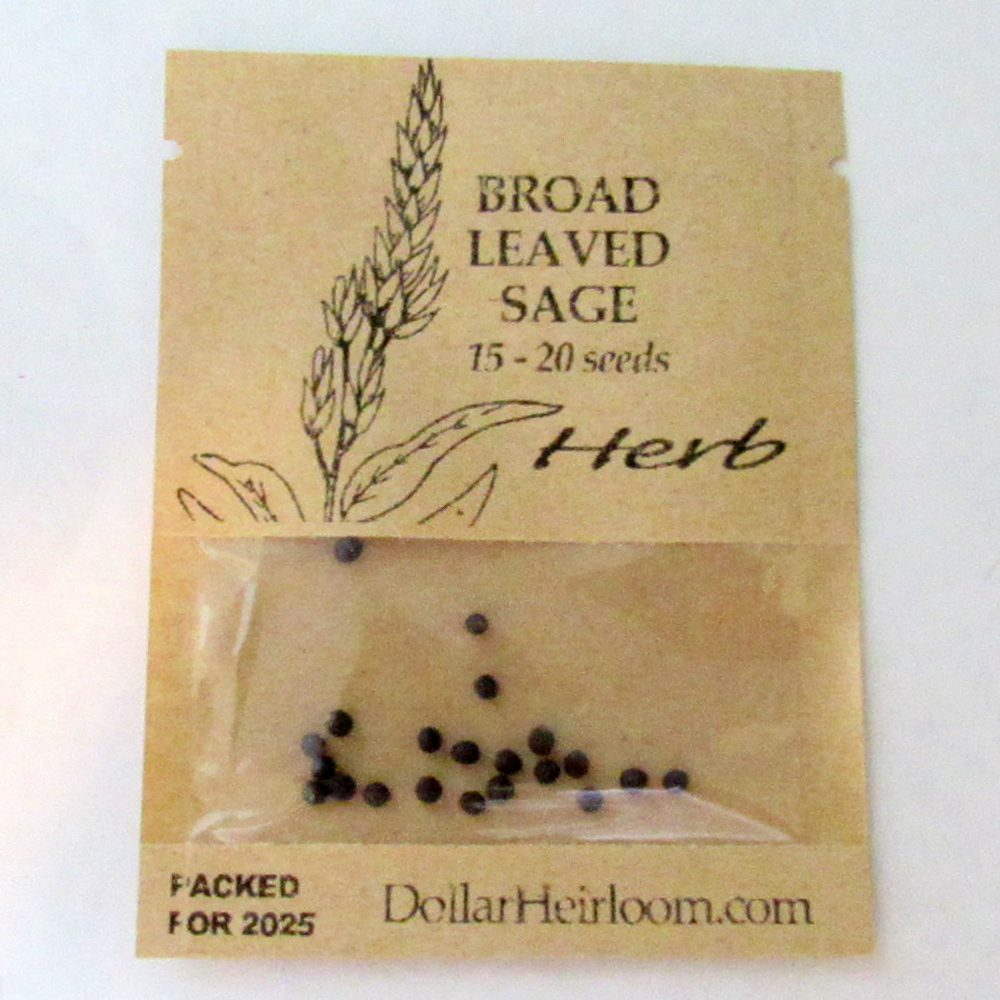 Sage – Broad Leaf (15-20 Seeds)