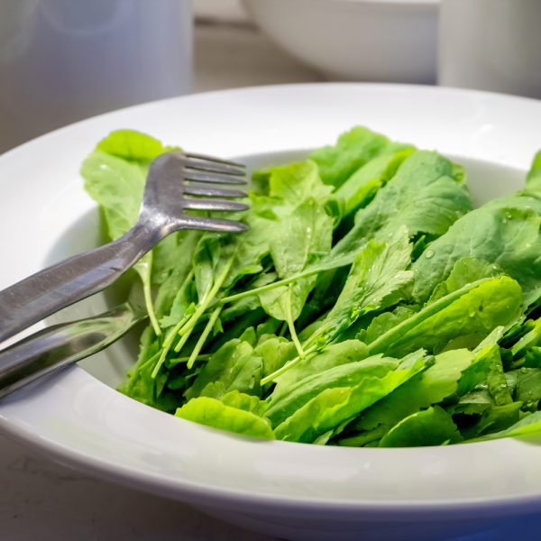 Sorrel - Large Leaf  (120-150 Seeds)