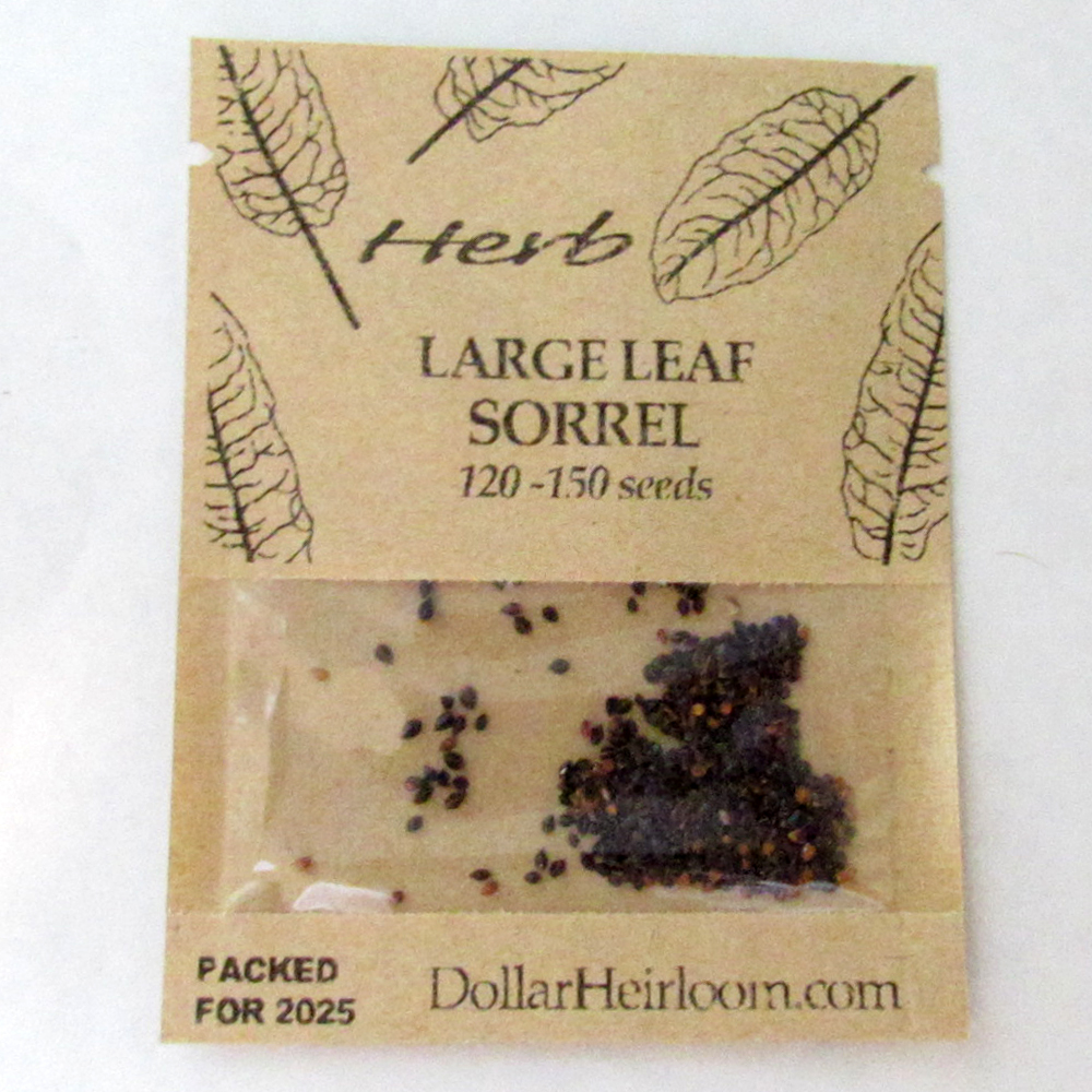 Sorrel – Large Leaf  (120-150 Seeds)