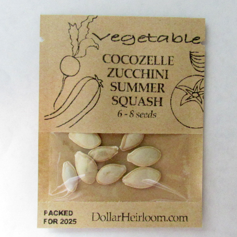 Squash – Cocozelle Zucchini Summer  (6-8 Seeds)