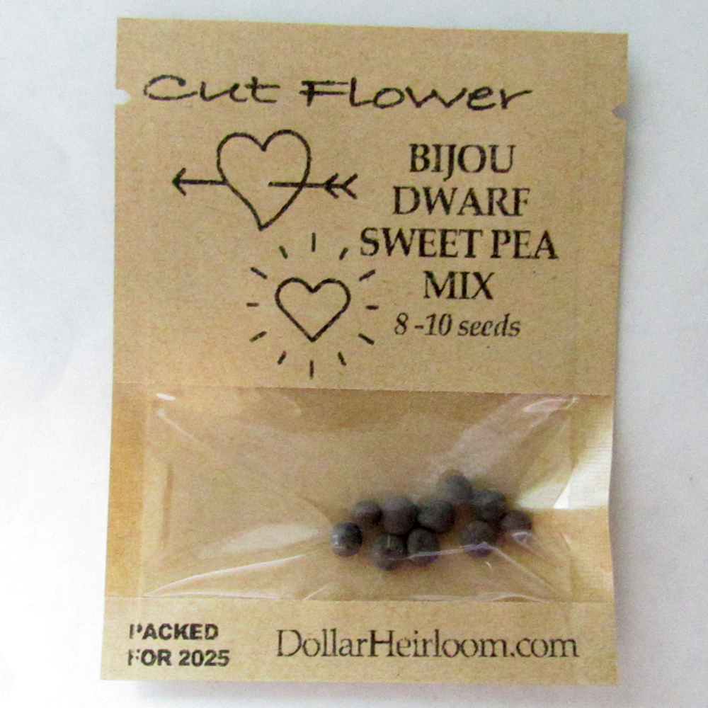 Sweet Pea – Bijou Dwarf Mix (8-10 Seeds)