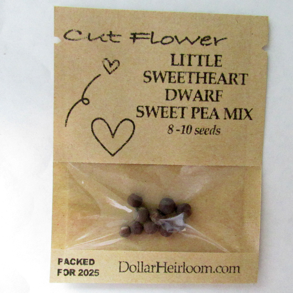 Sweet Pea – Little Sweetheart Dwarf Mix  (8-10 Seeds)