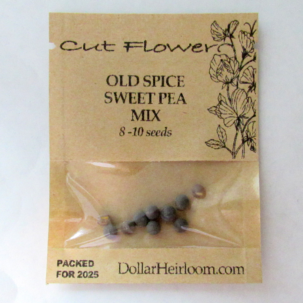 Sweet Pea – Old Spice Mix (8-10 Seeds)