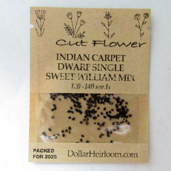 Sweet William - Indian Carpet Dwarf Single Mix (120-140 Seeds)