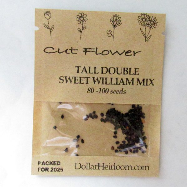 Sweet William - Tall Double Mix (80-100 Seeds)