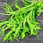 Tarragon - Russian (120-150 Seeds)
