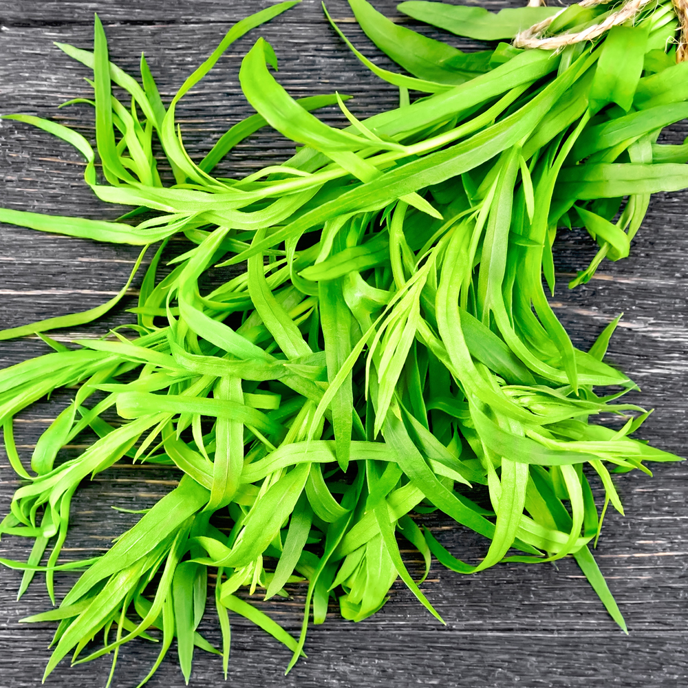 Tarragon – Russian (120-150 Seeds)