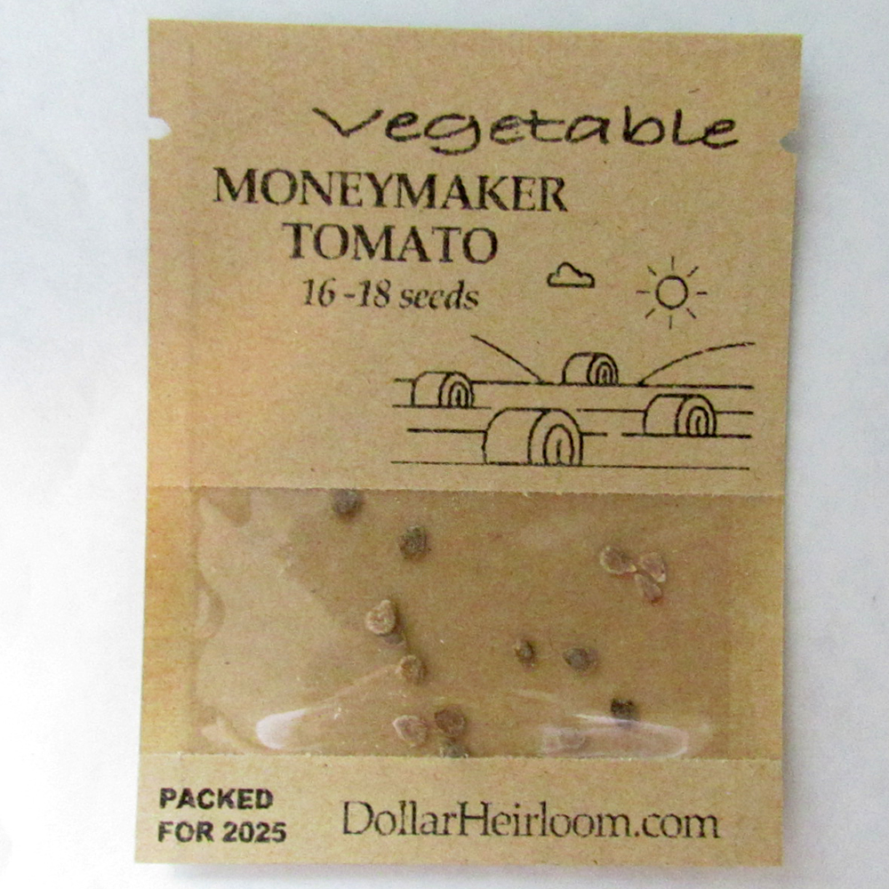 Tomato – Salad – Moneymaker (16-18 Seeds)