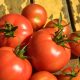 Tomato - Slicing - Marglobe (16-18 Seeds)