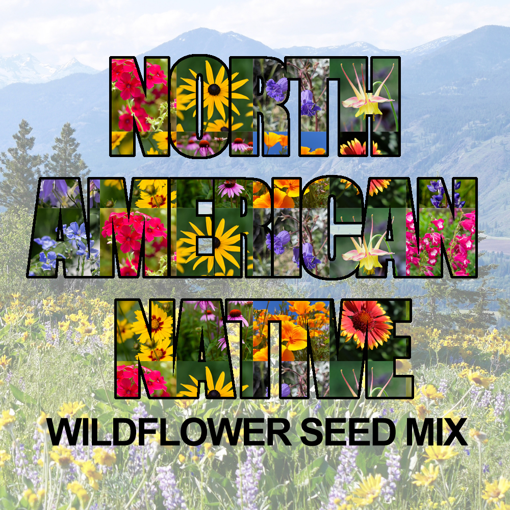 North American Native Wildflower Seed Mix (1.5-2.5 Sq Ft)
